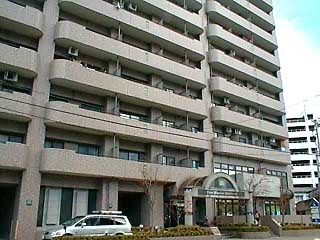 マンション 岩手県 盛岡市 大沢川原三丁目 ライオンズマンション開運橋B2タイプ 3DK