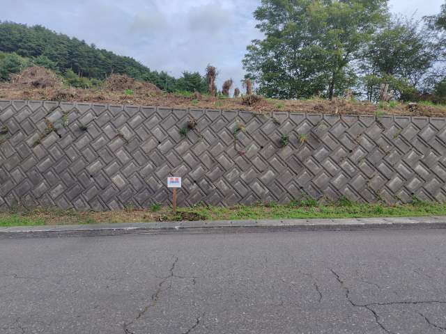 売地 青森県 八戸市 田面木字田面木平 